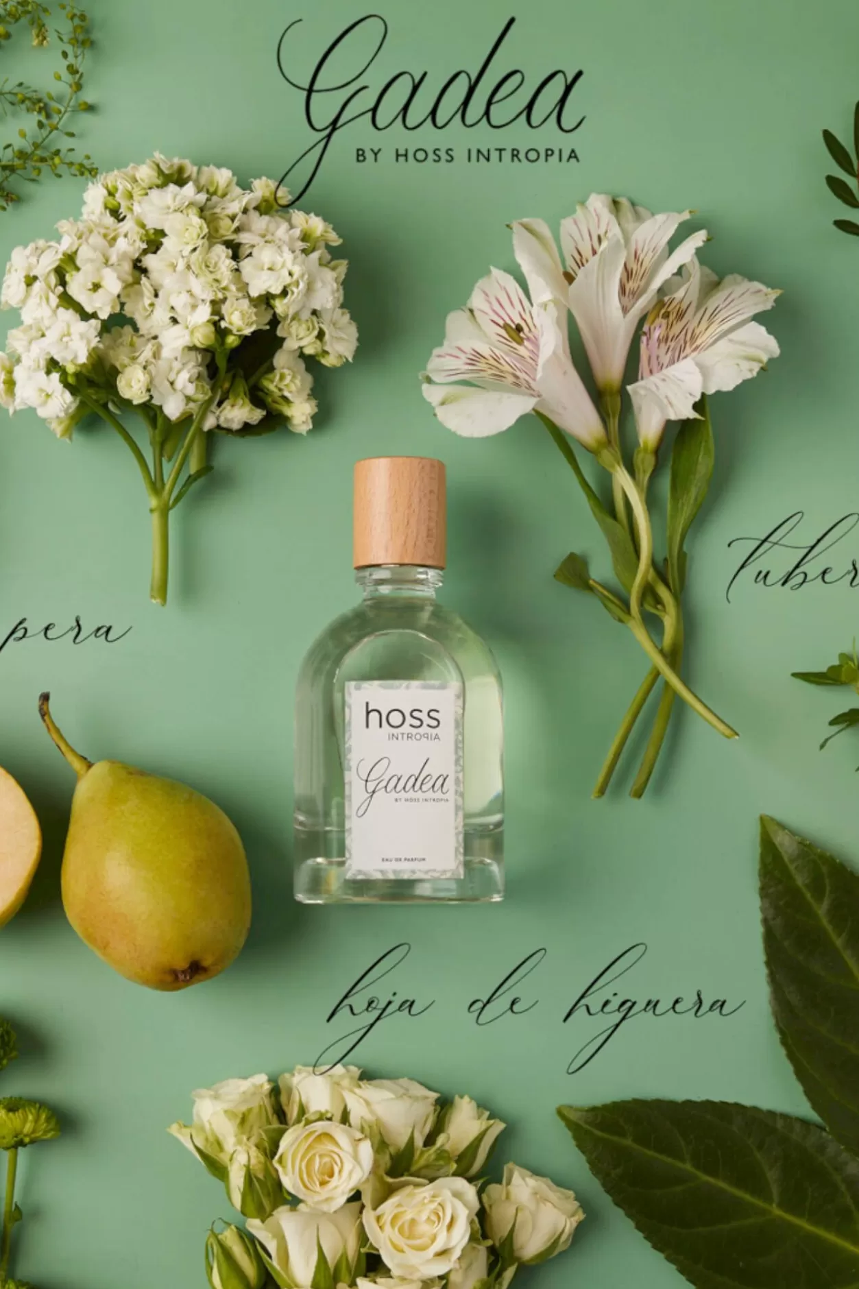 Mujer Hoss Intropia Gadea Perfume