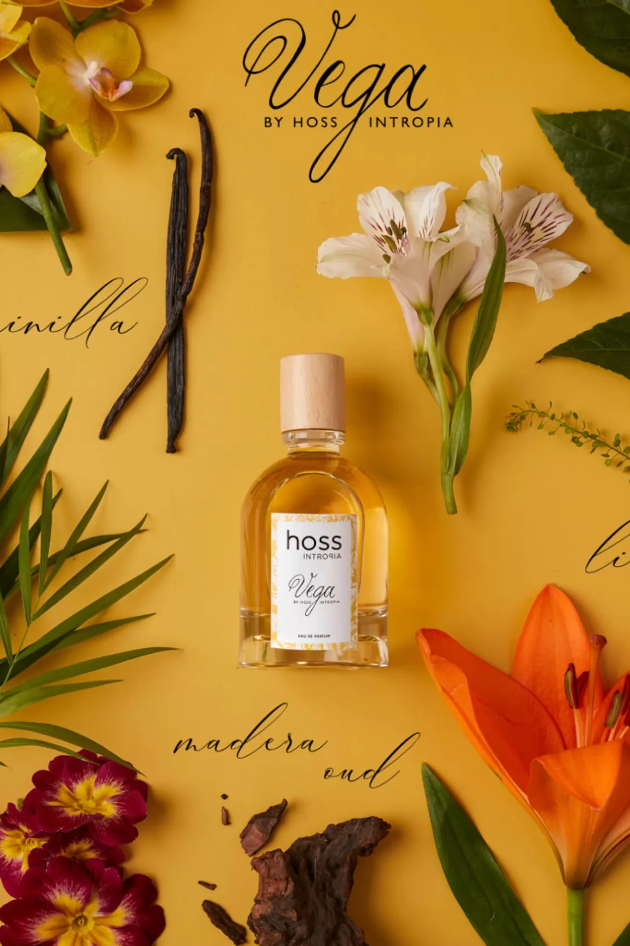 Mujer Hoss Intropia Vega Perfume